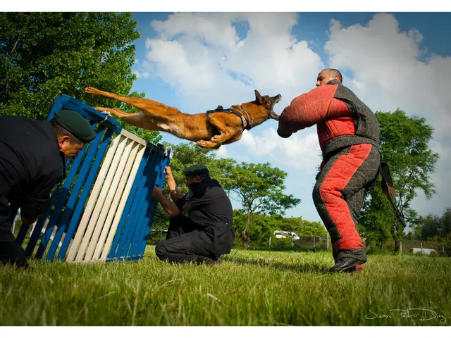 In the image we can see there is a dog jumping on the person and the person is wearing life jacket...
