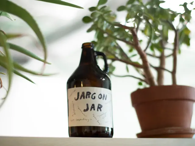 In the image there is a bottle and beside the bottle there is a plant.