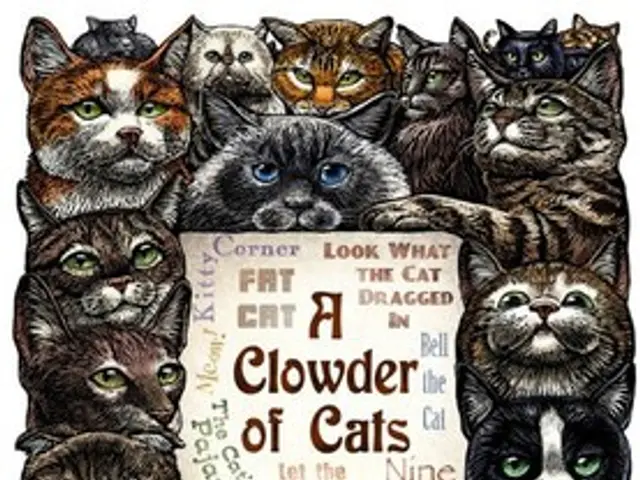 This looks like an edited image. I can see the faces of different animals. I think these are the...