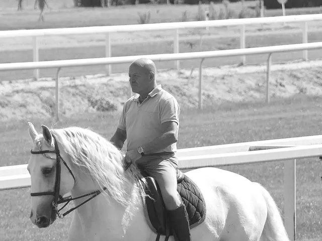 in the picture a person is sitting on the horse and riding.